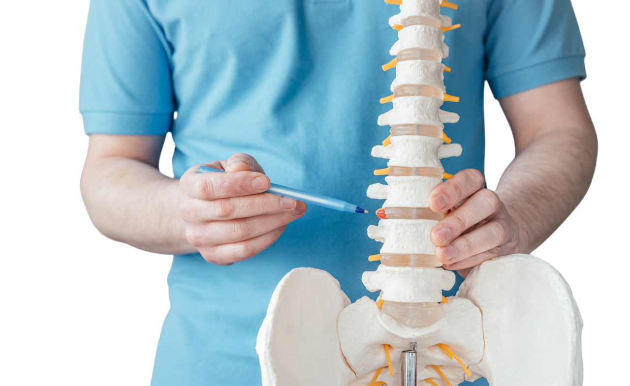Chiropractor in Torrance, CA